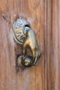 Hand shaped door knocker