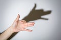 Hand show shadow play dog Royalty Free Stock Photo