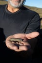 Hand showing bullet sheath from civil war firearm found in Sierra Nevada Royalty Free Stock Photo