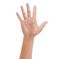 Hand showing the five fingers isolated on a white background - clipping paths Royalty Free Stock Photo
