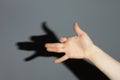 The hand shows a shadow of dog Royalty Free Stock Photo