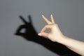 The hand shows a shadow rabbit Royalty Free Stock Photo