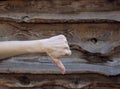 Hand shows thumb down on wooden background Royalty Free Stock Photo