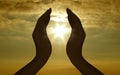 Hand silhouette and sun Royalty Free Stock Photo