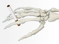 Hand Skeleton with cigarette Royalty Free Stock Photo