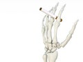 Hand Skeleton with cigarette Royalty Free Stock Photo