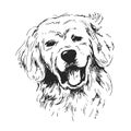 Hand sketch dog's head Royalty Free Stock Photo