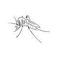 Hand sketch mosquito. Vector illustration, mosquito, vector sketch illustration Royalty Free Stock Photo