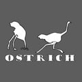 Hand sketch of ostrich, draw.