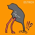 Hand sketch of ostrich, draw.