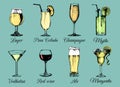 Hand sketched alcoholic beverages and cocktails glasses. Vector drinks color illustrations set, vodkatini,champagne etc. Royalty Free Stock Photo