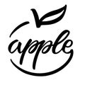 Hand sketched apple lettering typography. Logo design. Lettering template for banner, poster, t-shirt design, tag Royalty Free Stock Photo