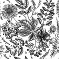 Hand sketched autumn retro backdrop. Elegant botanical background with autumn leaves, berries, flowers, and branches sketches.