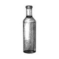 Hand sketched bottle with liquid in vintage style. Glassware drawing for beverages, winery, cosmetics, or perfume. Wine bottle Royalty Free Stock Photo