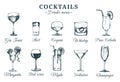 Hand sketched bottles and glasses of alcoholic beverages. Vector set of drinks and cocktails drawings. Restaurant menu. Royalty Free Stock Photo