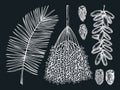 Hand-sketched date illustrations on chalkboard. Hand drawn leaves, fresh and dried fruits, branch, palm sketches set. Vintage Royalty Free Stock Photo