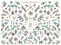 Hand sketched floral design elements for Christmas Royalty Free Stock Photo