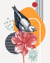 Hand-sketched greenfinch vector illustration. Perching bird on dahlia flower. Collage style illustration with geometric shapes and
