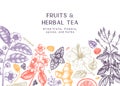 Hand sketched herbal tea ingredients banner. Vintage herbs and fruits sketches. Summer drinks background. Perfect for recipe, menu Royalty Free Stock Photo