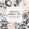 Hand sketched herbal tea ingredients frame. Vintage herbs, leaves, flowers, fruits hand drawings design. Perfect for recipe, menu