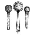 Hand-sketched ingredients in spoons collection. Vector illustrations of aromatic materials. For aromatherapy, candle or soap