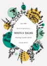 Hand-sketched Mints And Balms Trendy Design. Mints Plants And Insects Illustration In Collage Style. Medicinal Herbs And Summer