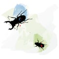 Hand sketched set of two beetles. Insects drawing.