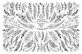 Hand sketched vector floral elements leaves, flowers, swirls a Royalty Free Stock Photo