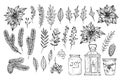 Hand sketched vector vintage elements Royalty Free Stock Photo