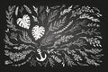 Hand sketched vector vintage elements laurels, leaves, flowers