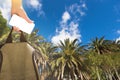 Hand with a smartphone and a backpack in front of a palms.