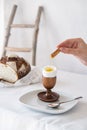 A hand soaks a cracker into the yolk of a broken boiled egg on a wooden stand on a table with a white tablecloth Royalty Free Stock Photo