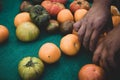 Hand sorting Orange, Yellow, Red, and Green Heirloom Tomatoes at the farmers market Royalty Free Stock Photo