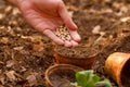 Hand sowing a seed into a pot at backyard home garden