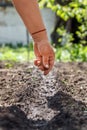 A hand sowing seeds into the soil