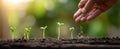 The hand sowing seeds into soil next to emerging green sprouts. AI generated image Royalty Free Stock Photo