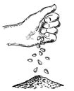 Hand sowing seeds. Vector sketch illustration with hand putting seed to ground. Process of seeding in sketch style Royalty Free Stock Photo