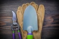 Hand spade secateurs safety gloves on wooden board agriculture c