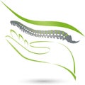 Hand and Spine, Orthopedics and Physiotherapy Logo