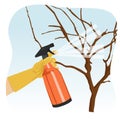 Hand spraying tree in garden with protecting spray Royalty Free Stock Photo