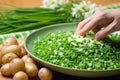 hand sprouting chives over a serving platter of potato salad Royalty Free Stock Photo