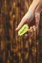 Hand squeeze lime with lime drop on wooden background Royalty Free Stock Photo