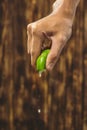 Hand squeeze lime with lime drop on wooden background Royalty Free Stock Photo