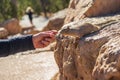 Hand feeding a squirell in the Grand Canyon Royalty Free Stock Photo