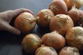 Hand stacks raw brown onions in a peel on counter