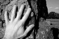 Hand on Standing Stones Royalty Free Stock Photo