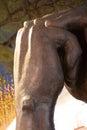 the hand of statue of pray at outdoor 19 Nov 2005