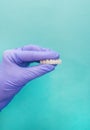 Hand of stomatologist holding plastic denture teeth over isolated blue background