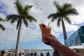 A hand strawberry smoothie purchased at a farmers market with a scenic view of Palm Trees looking up into a white cloud blue sky Royalty Free Stock Photo