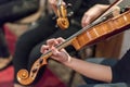 Hand on the strings of a violin Royalty Free Stock Photo